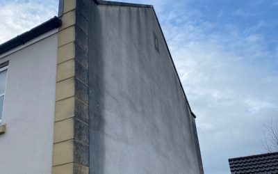 My render has gone green? WHY?!