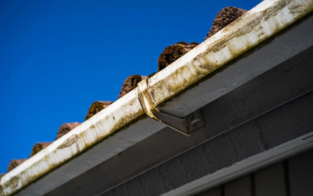 How Often Should I Get My Gutters Cleaned?