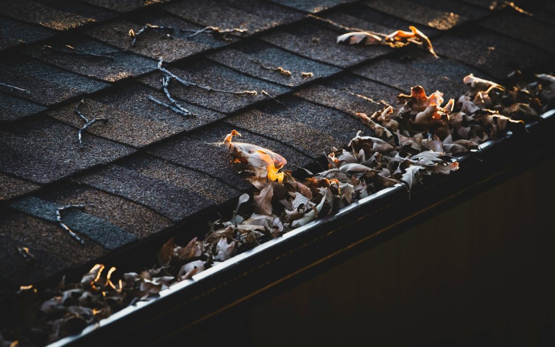 Why You Need to Have Your Gutters Cleaned in Winter