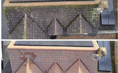 The Dangers of DIY Roof Cleaning